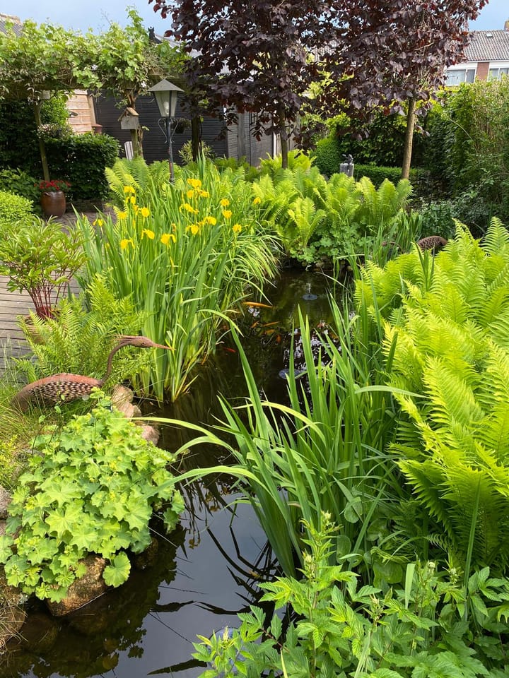 Foto 61 van Burgemeester van Engelenweg 73