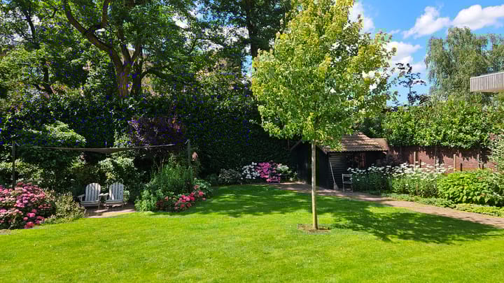 Foto 54 van Wilhelminapark 38-A