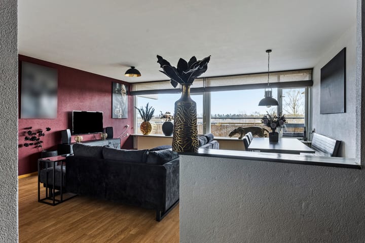 Foto 12 van Abeliadonk 13