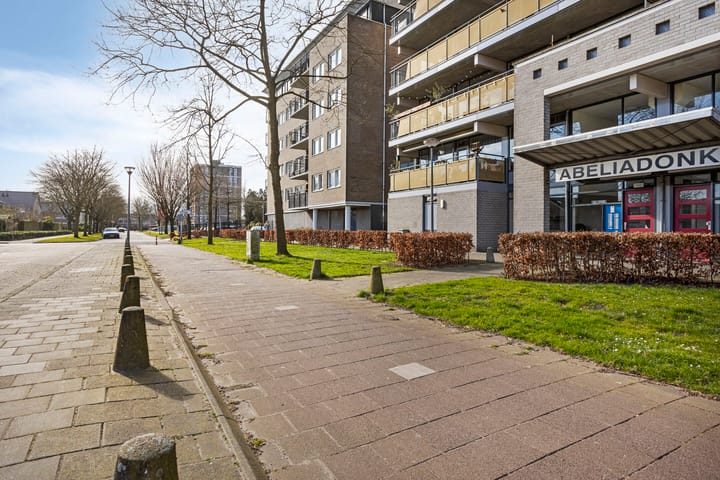 Foto 26 van Abeliadonk 13