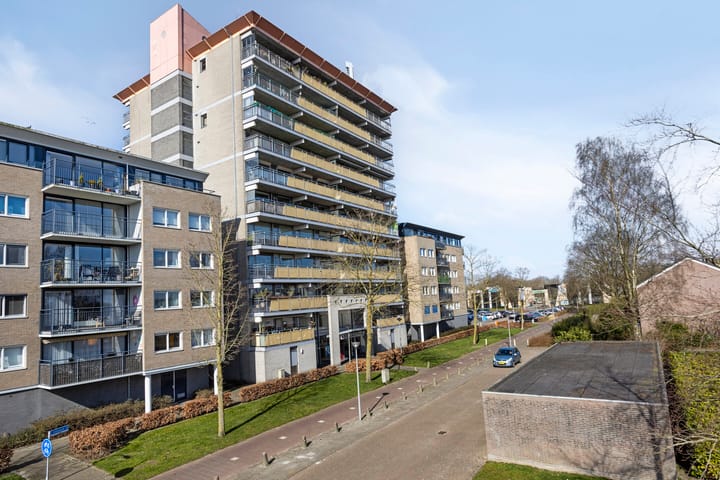 Foto 28 van Abeliadonk 13