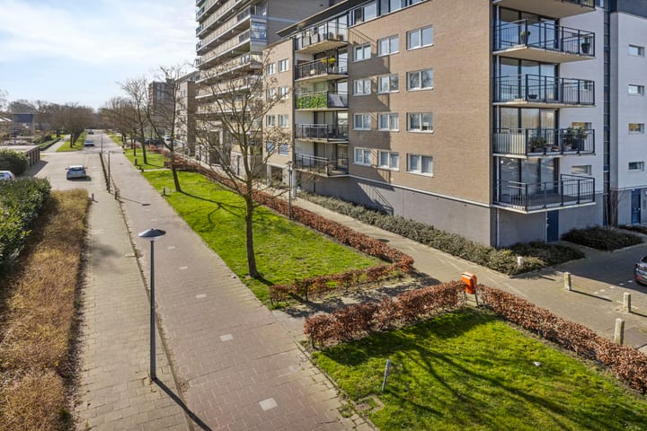 Foto 31 van Abeliadonk 13