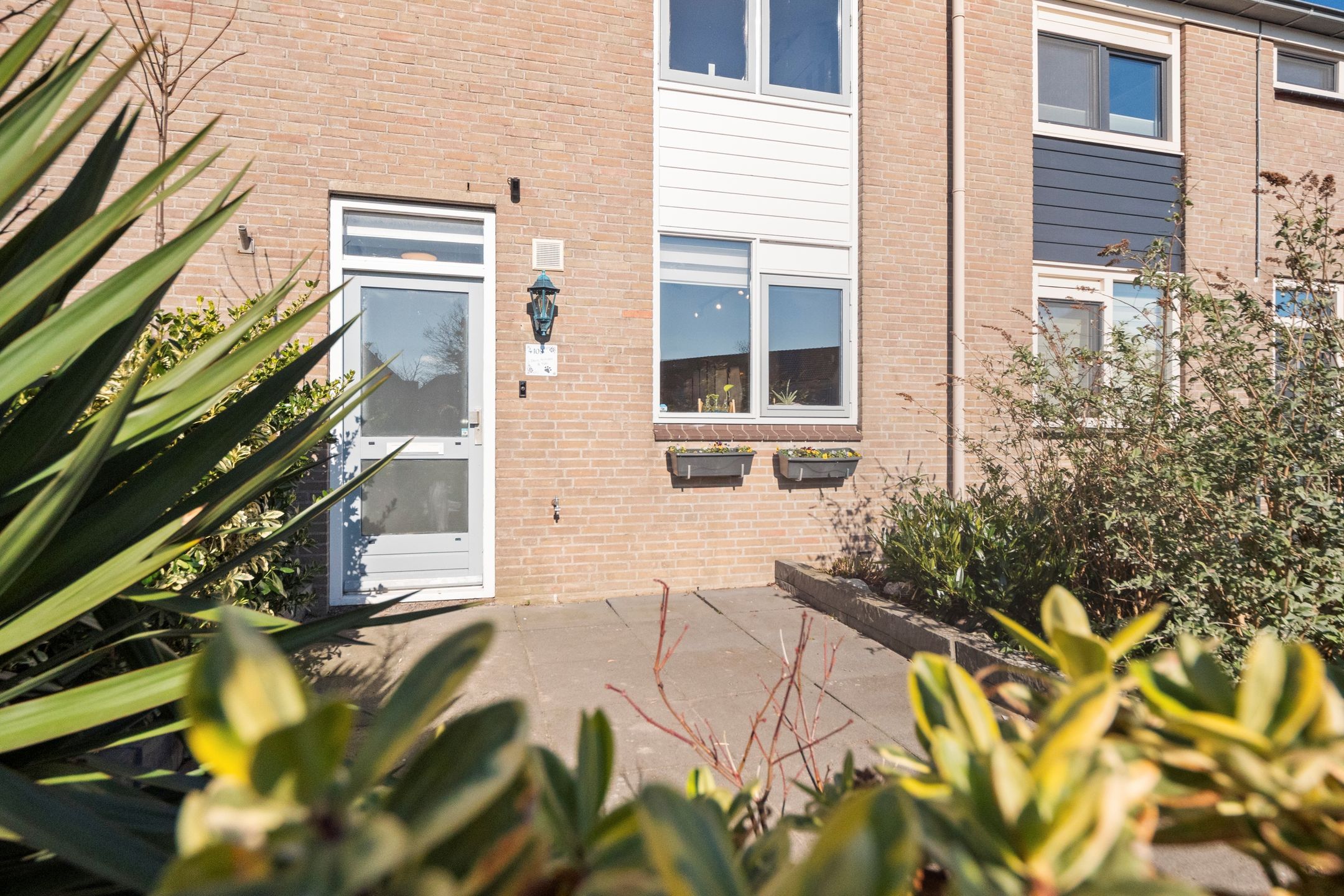 Foto 3 van Kruiszwin 4109