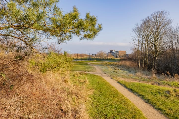 Foto 3 van Zandhaver 38