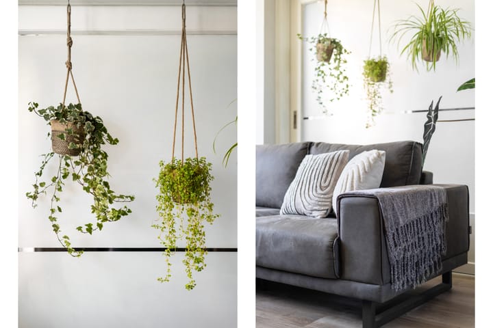 Foto 8 van Gruttostraat 6-A