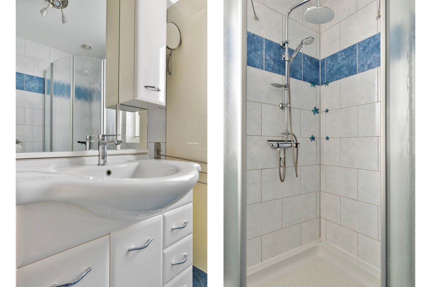 Foto 5 van Meerkoet 36