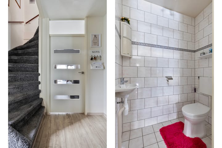 Photo 6 of Meerkoet 36