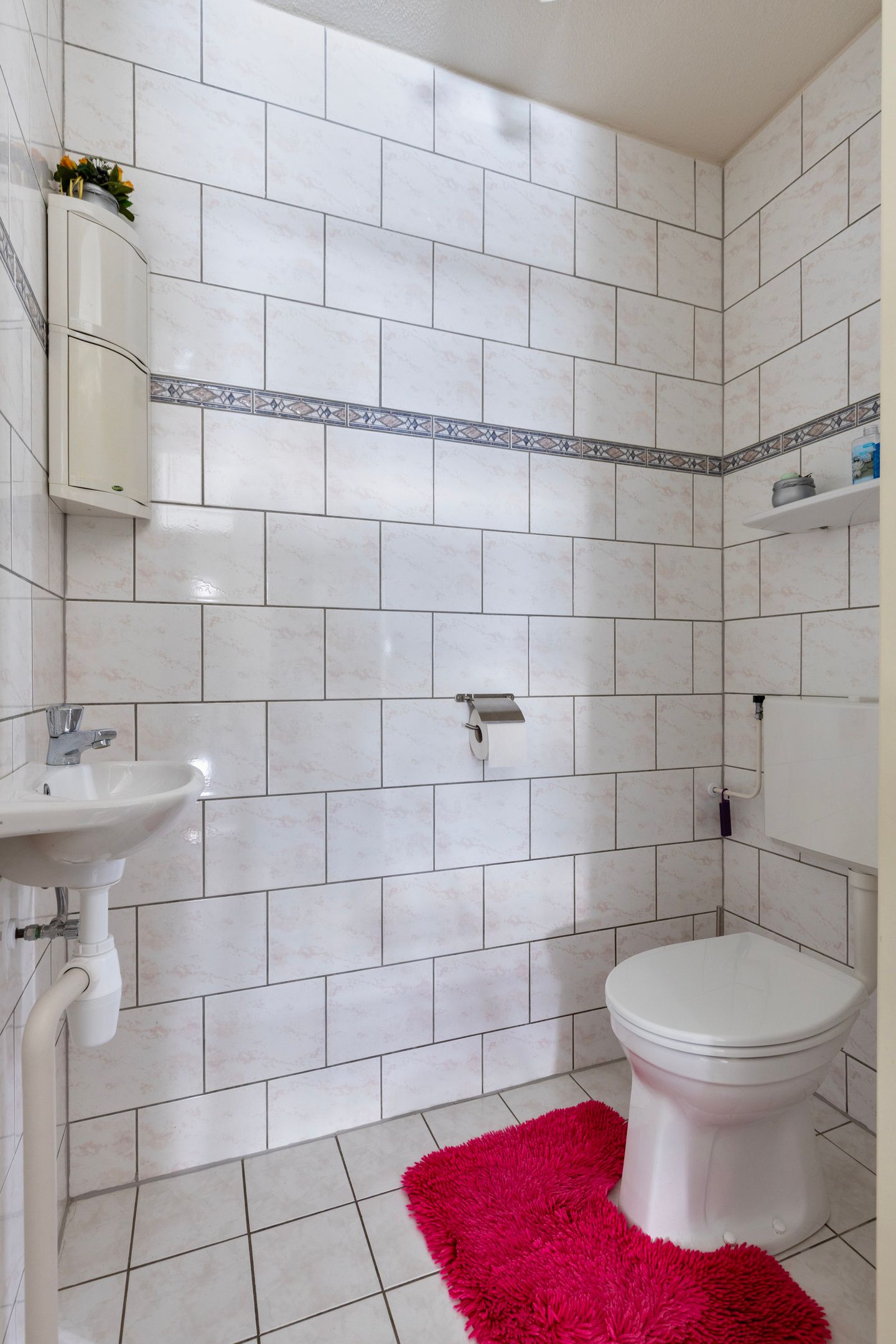 Foto 9 van Meerkoet 36