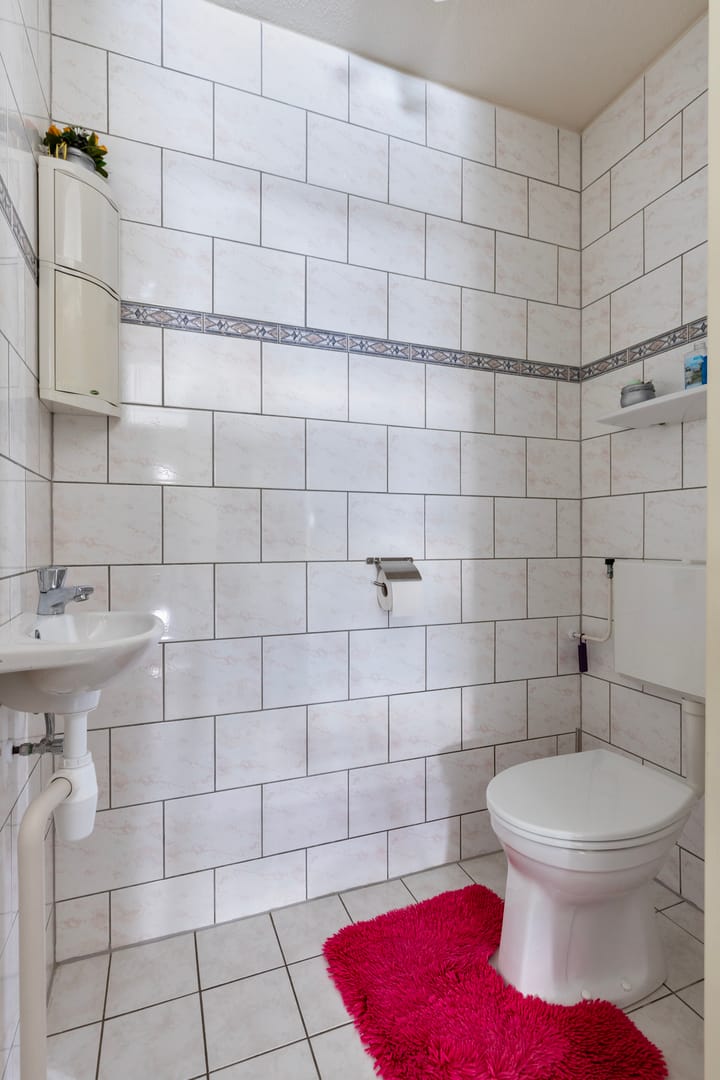 Photo 9 of Meerkoet 36