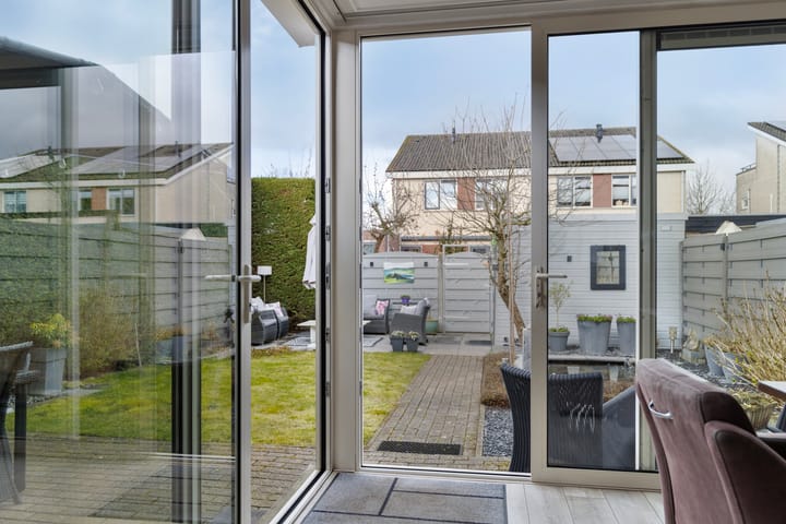 Photo 18 of Meerkoet 36