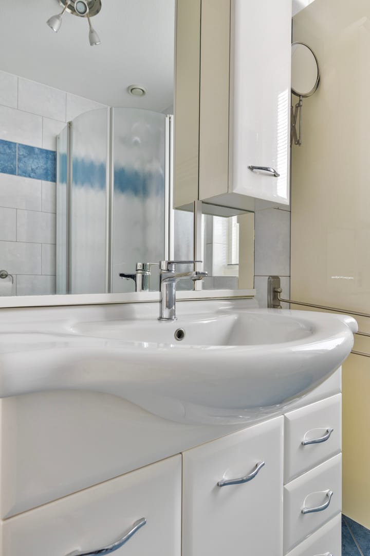 Photo 24 of Meerkoet 36