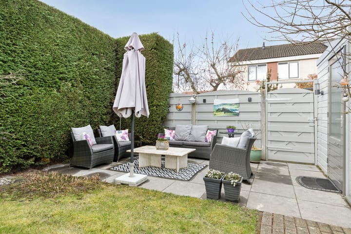 Photo 34 of Meerkoet 36