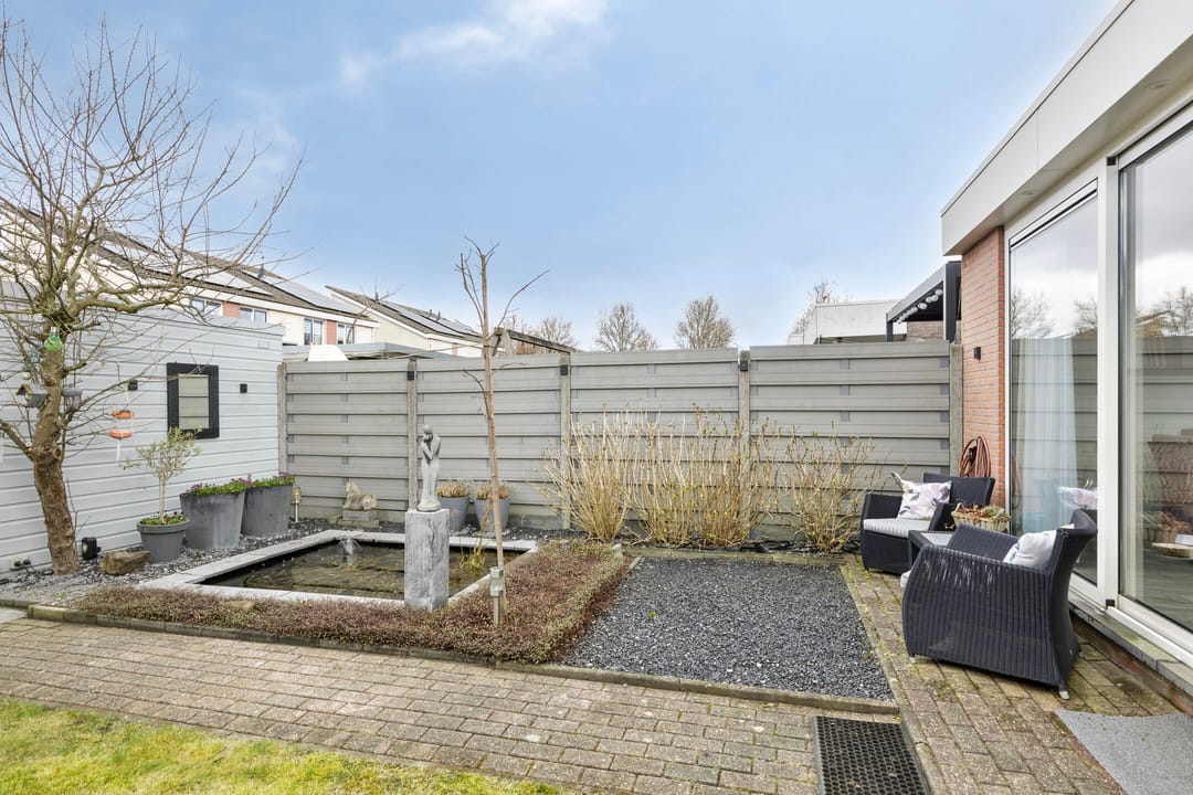 Foto 37 van Meerkoet 36