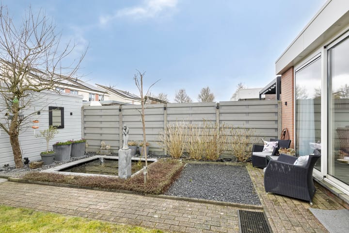 Photo 37 of Meerkoet 36