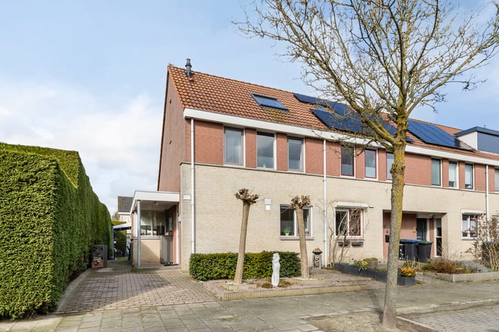 Photo 39 of Meerkoet 36