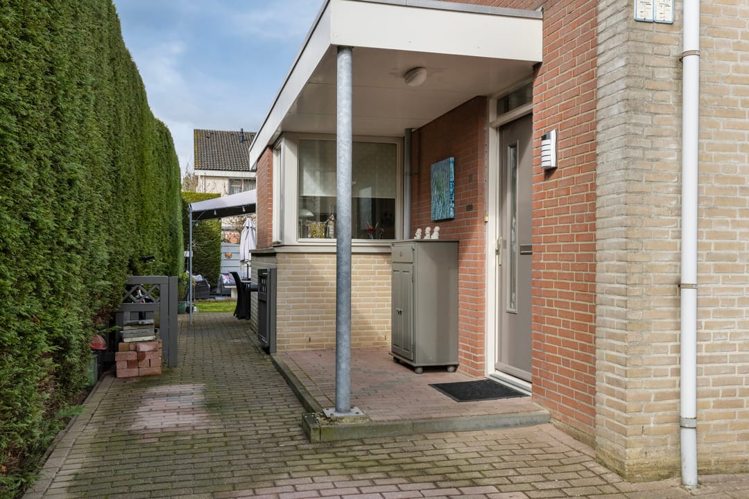 Foto 41 van Meerkoet 36