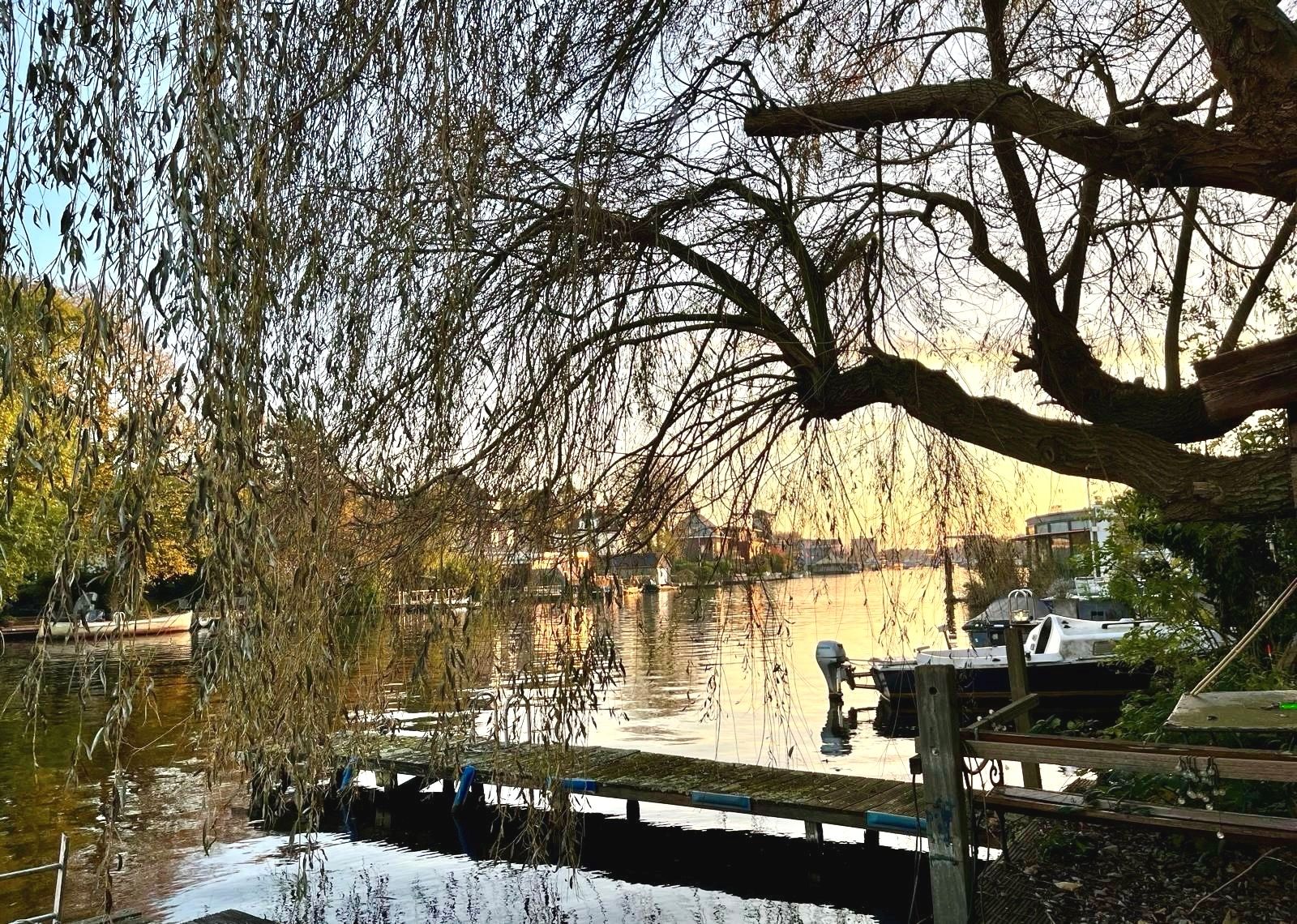 Foto 3 van Morsweg 136