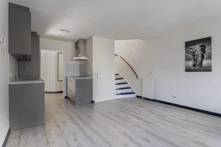 Photo 12 of Tuinpad 14