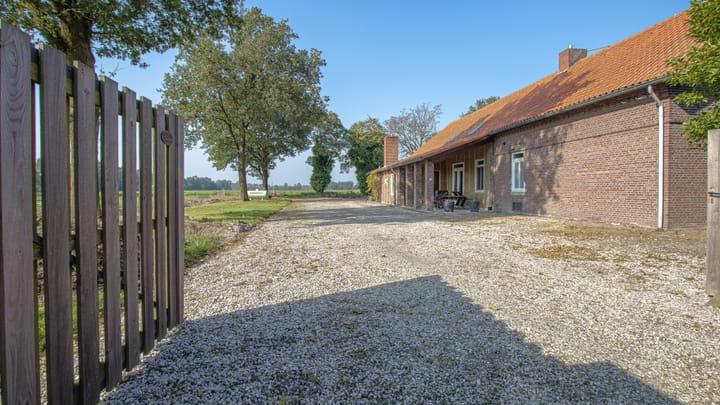 Photo 2 of Hollander 9