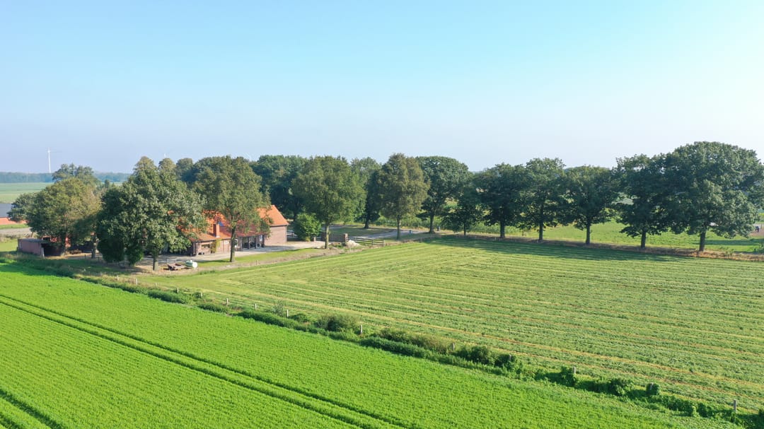 Foto 26 van Hollander 9