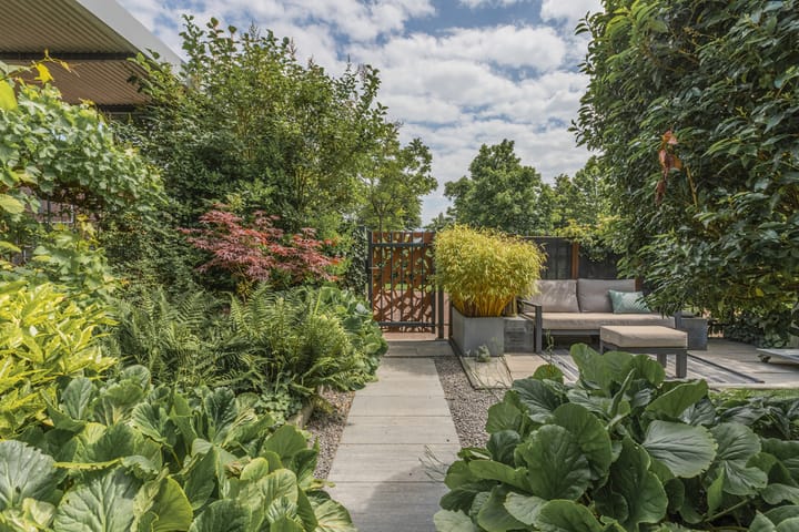 Foto 35 van Vasalisstraat 8