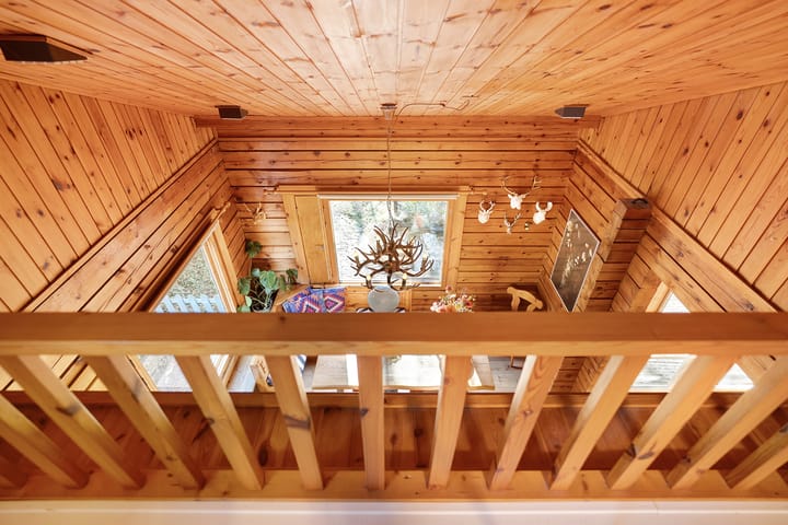 Foto 55 van De Reiger 55