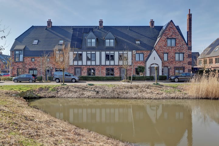 Foto 1 van Zilverkarper 14