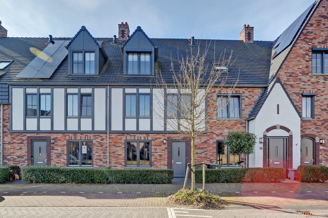 Foto 2 van Zilverkarper 14