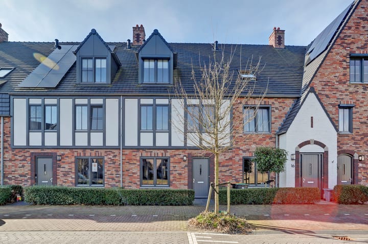 Foto 2 van Zilverkarper 14