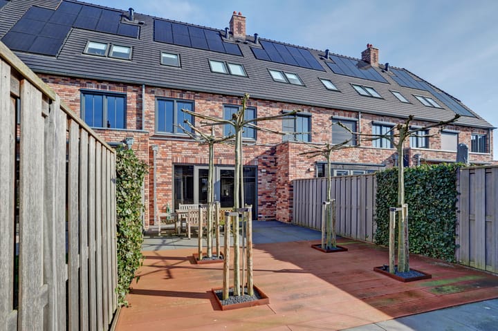 Foto 5 van Zilverkarper 14