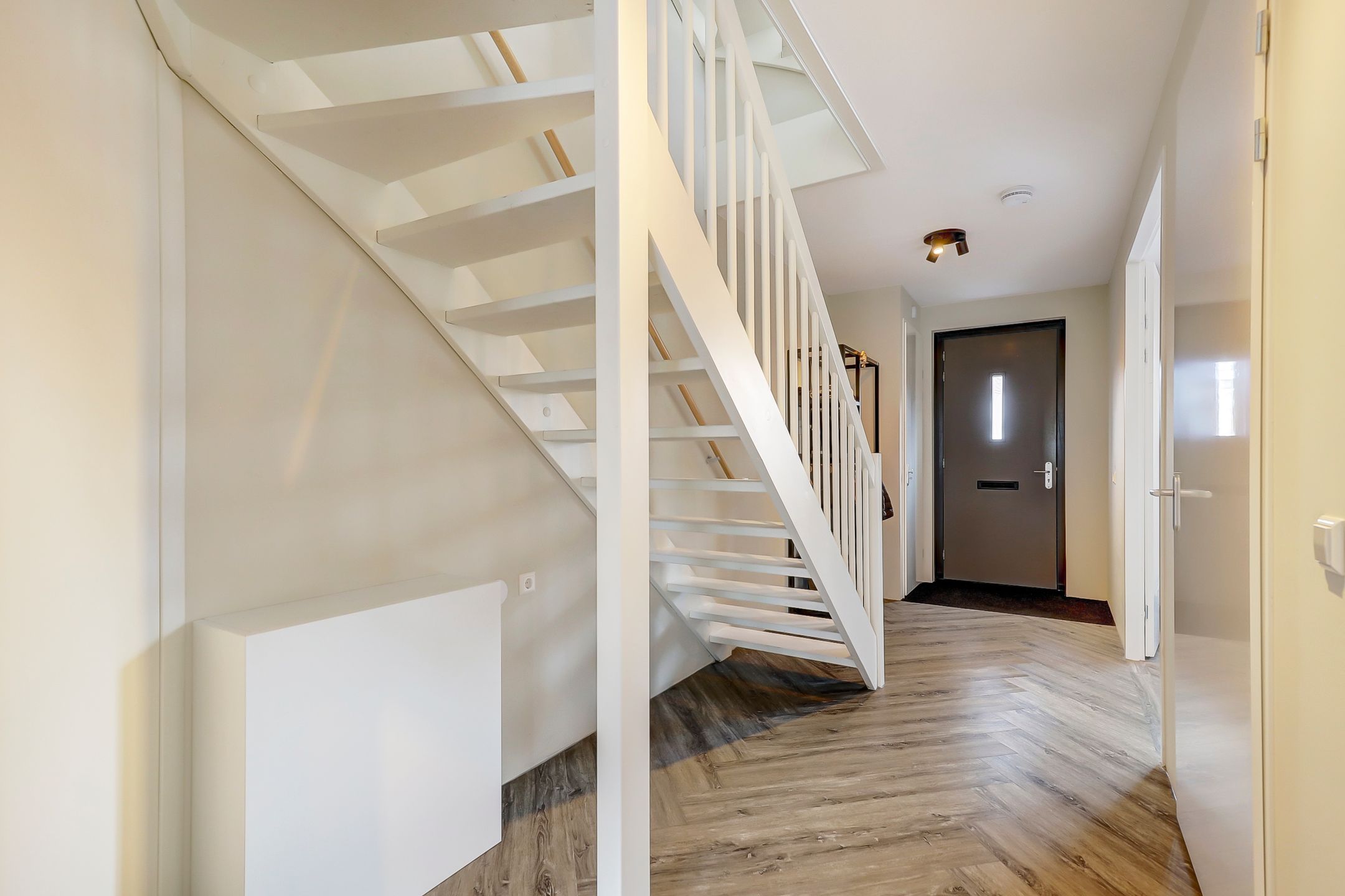 Foto 6 van Zilverkarper 14