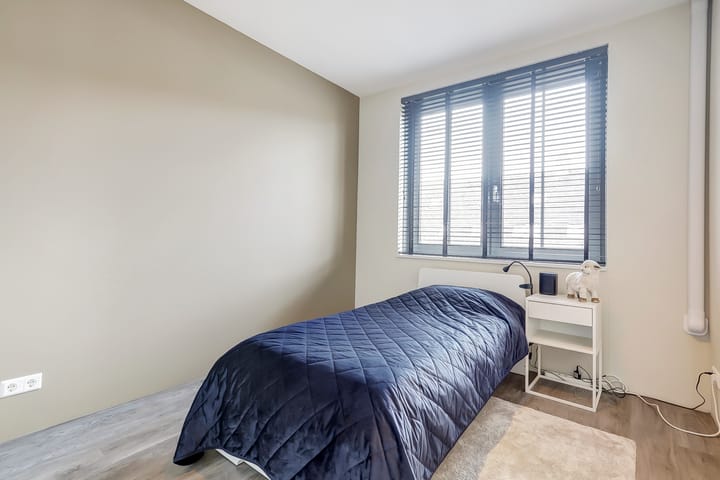 Foto 18 van Zilverkarper 14