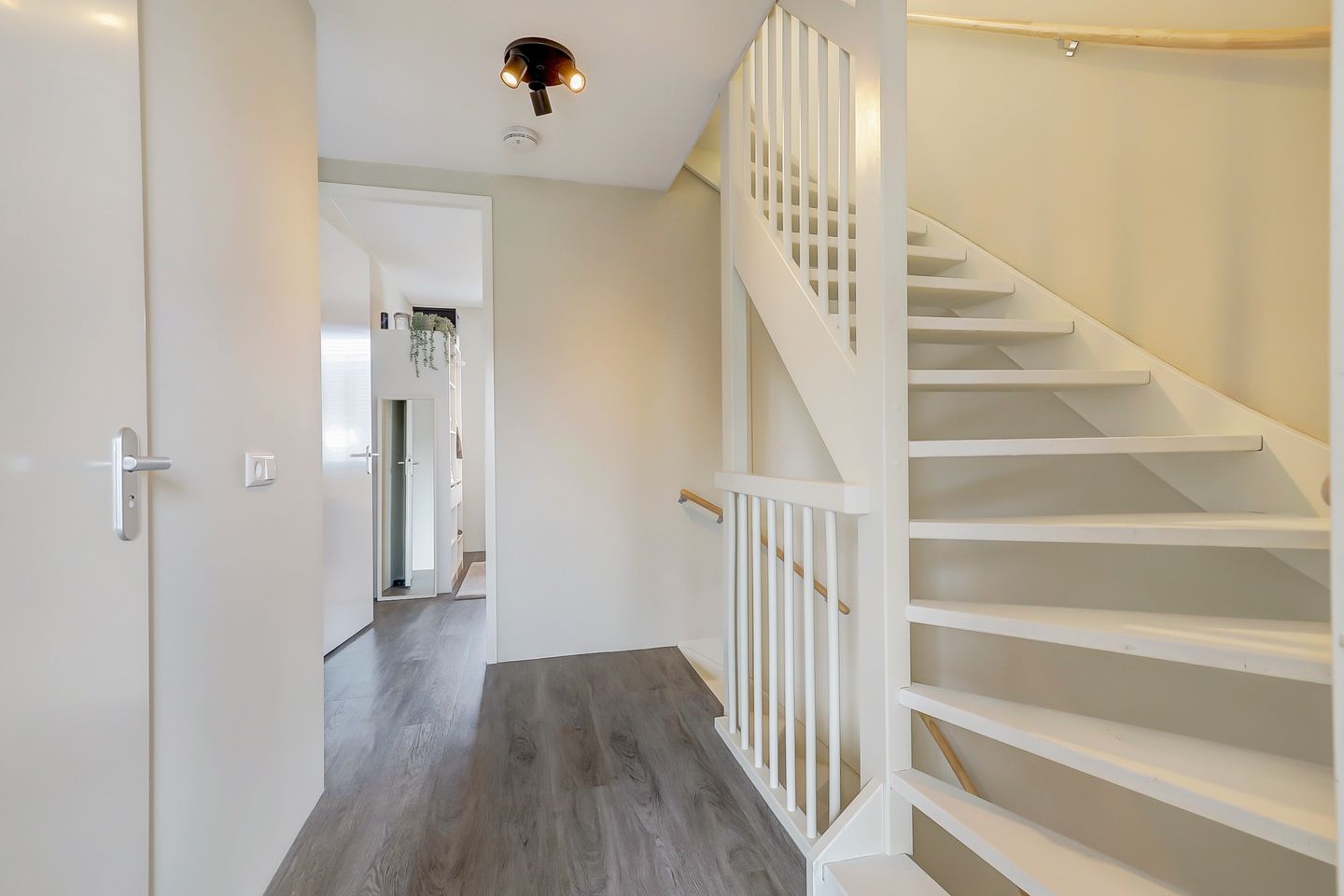 Foto 25 van Zilverkarper 14