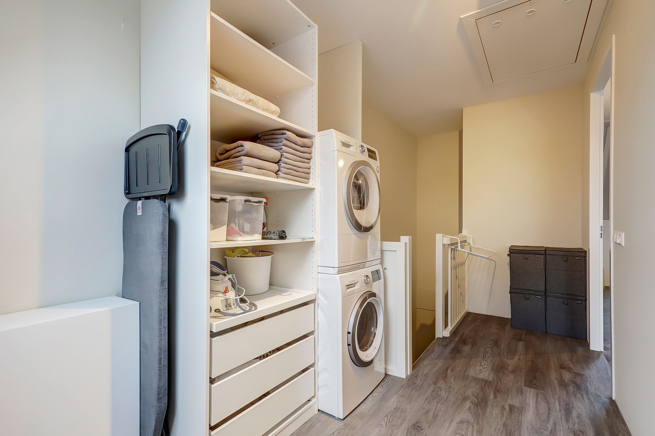 Foto 27 van Zilverkarper 14