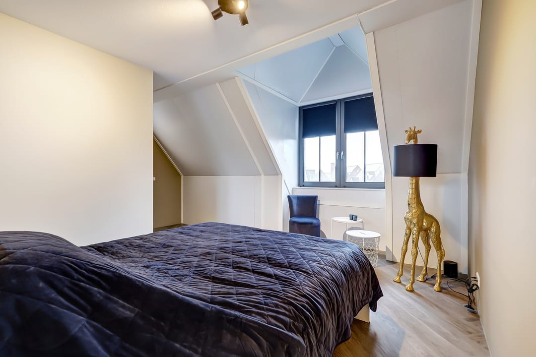 Foto 32 van Zilverkarper 14