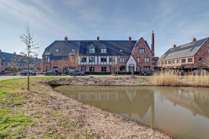 Foto 41 van Zilverkarper 14