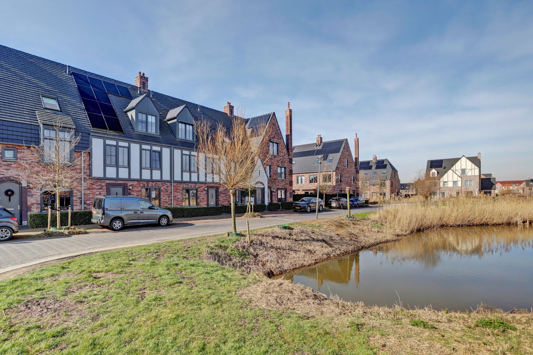 Foto 42 van Zilverkarper 14