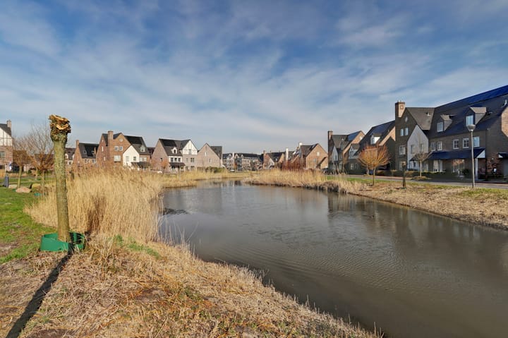 Foto 43 van Zilverkarper 14