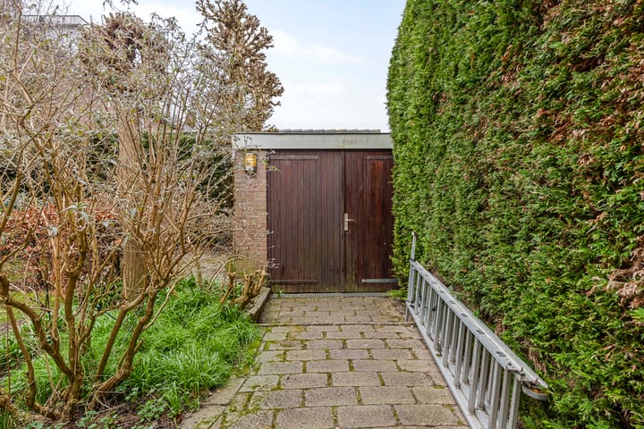 Foto 20 van Johan Willem Frisolaan 11