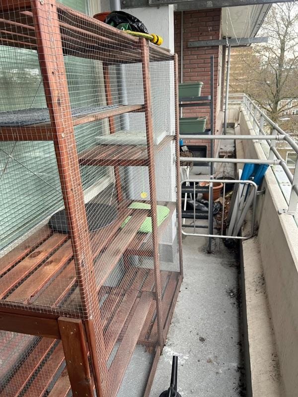 Foto 10 van Dirk Costerplein 42