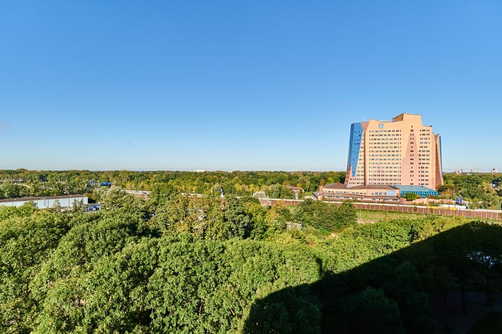 Foto 3 van Donderslaan 151