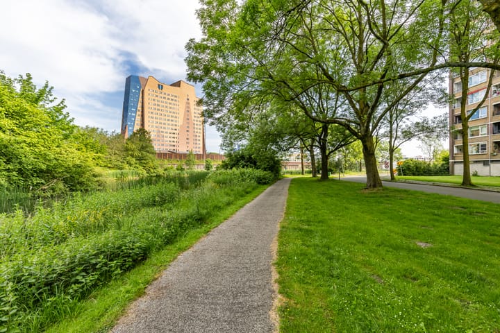 Foto 36 van Donderslaan 151