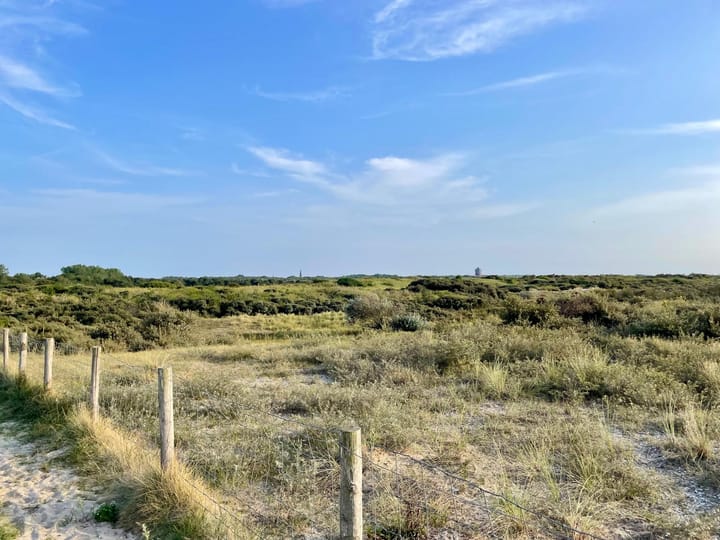 Foto 28 van Laan van Meerdervoort 1345