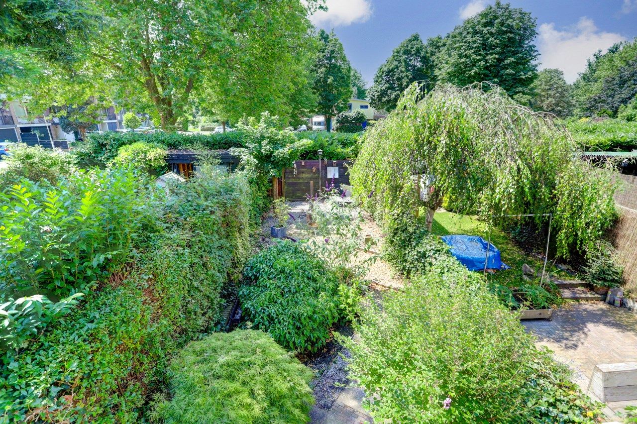 Photo 18 of Hoofdwal 27