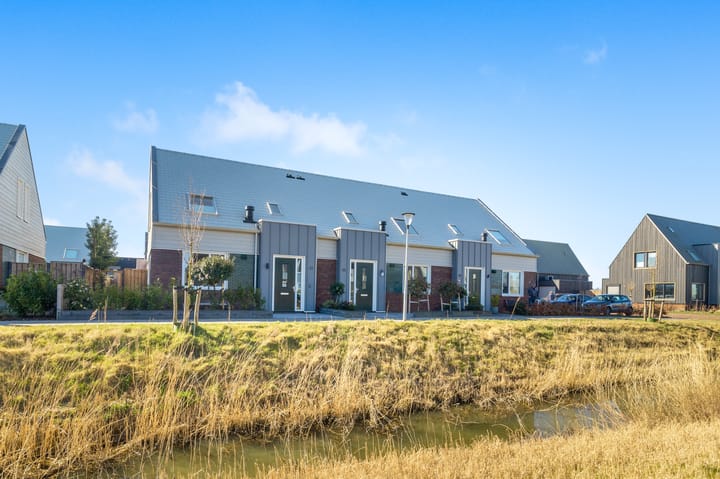 Photo 1 of Koolzaad 33