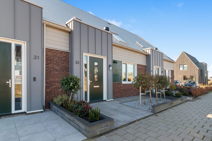 Photo 5 of Koolzaad 33