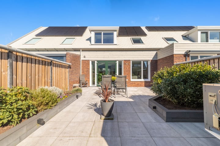 Photo 3 of Koolzaad 33