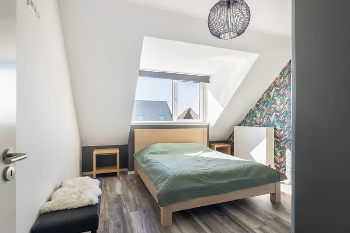 Photo 14 of Koolzaad 33