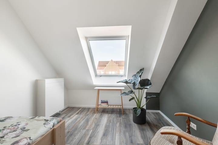 Photo 18 of Koolzaad 33