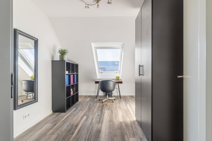 Photo 20 of Koolzaad 33